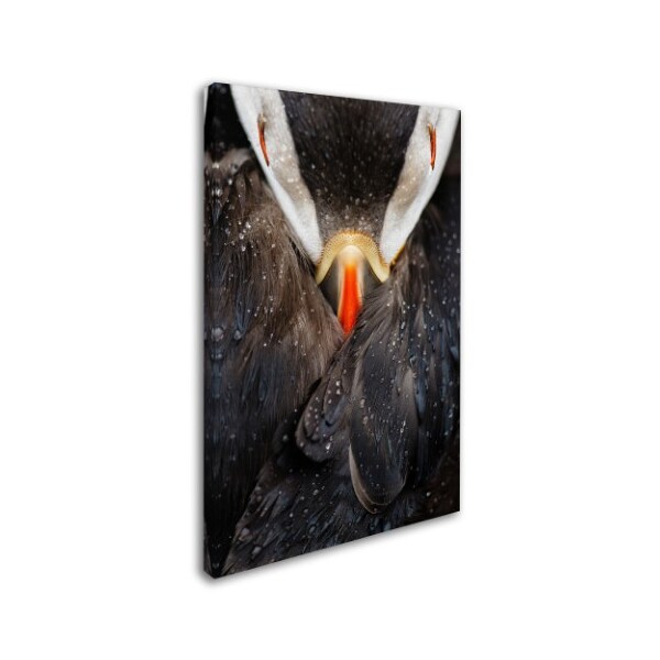 Mario Suarez 'Puffin Studio' Canvas Art,22x32